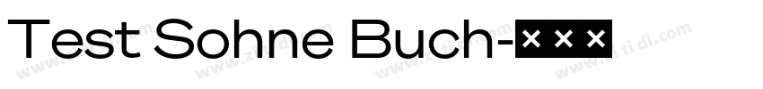 Test Sohne Buch字体转换